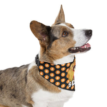 Load image into Gallery viewer, Pet Bandana Collar
